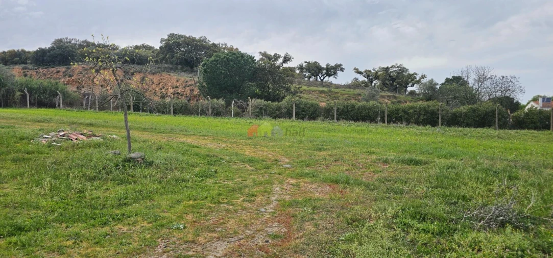 Terreno para Venda em Nossa Senhora das Neves Foto 7