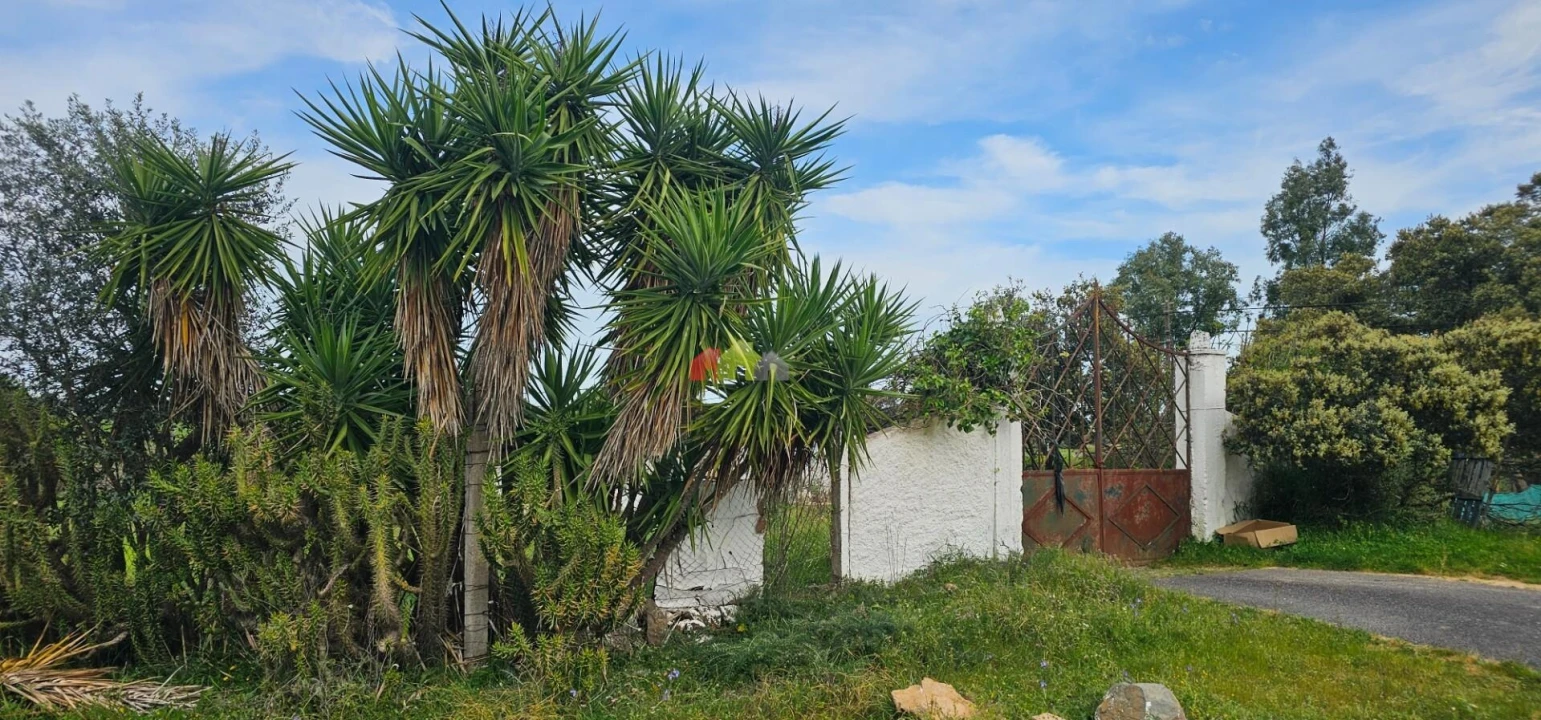 Terreno para Venda em Nossa Senhora das Neves Foto 1