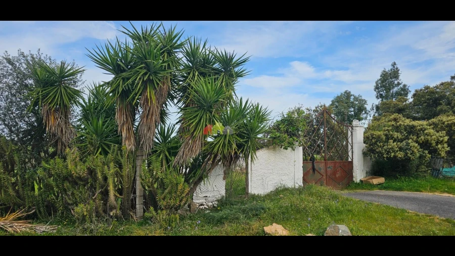 Terreno para Venda em Nossa Senhora das Neves
