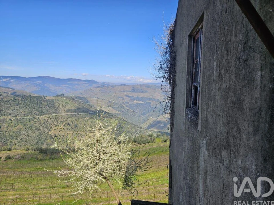 Moradia para Venda em Tabuaço Foto 11