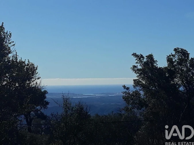 Terreno para Venda em Monchique