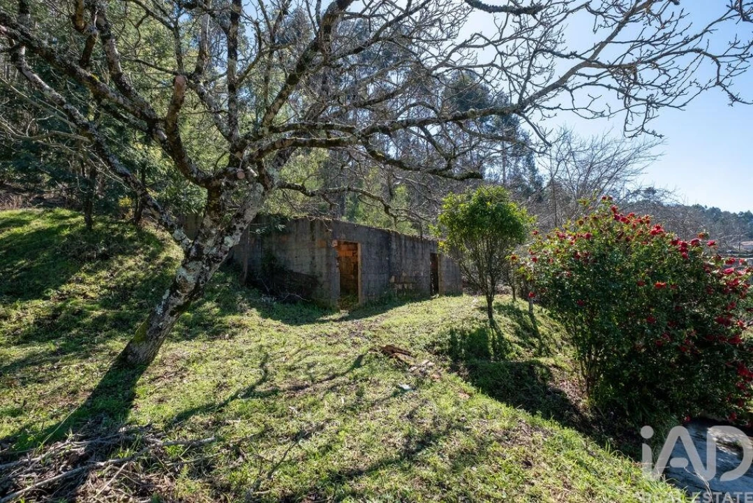 Moradia T2 para Venda em Vila Nova Foto 5