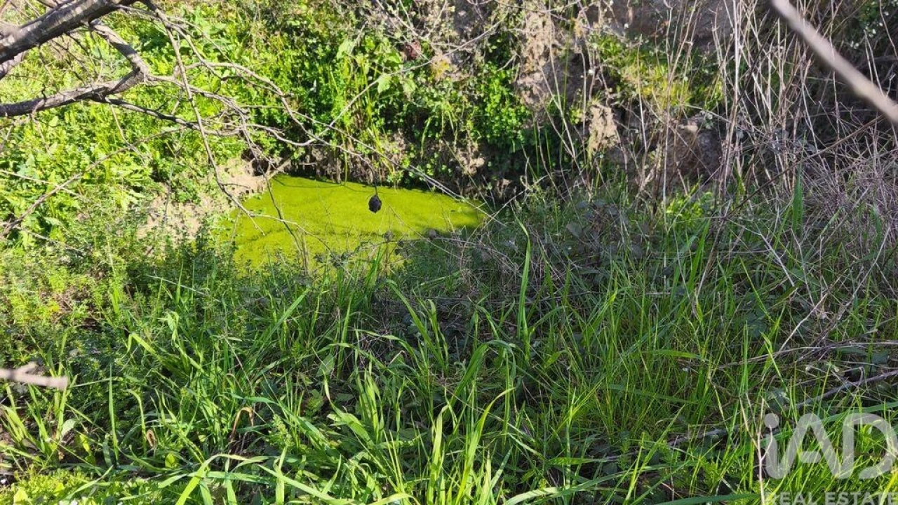 Terreno para Venda em Seixo da Beira Foto 21