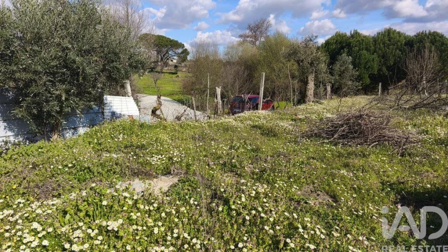 Terreno para Venda em Seixo da Beira Foto 14