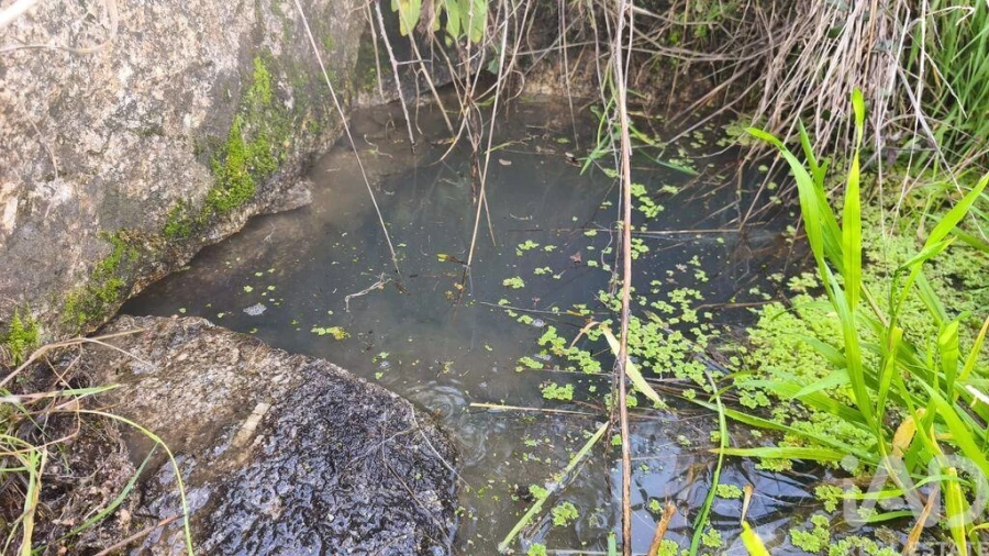 Terreno para Venda em Seixo da Beira Foto 3