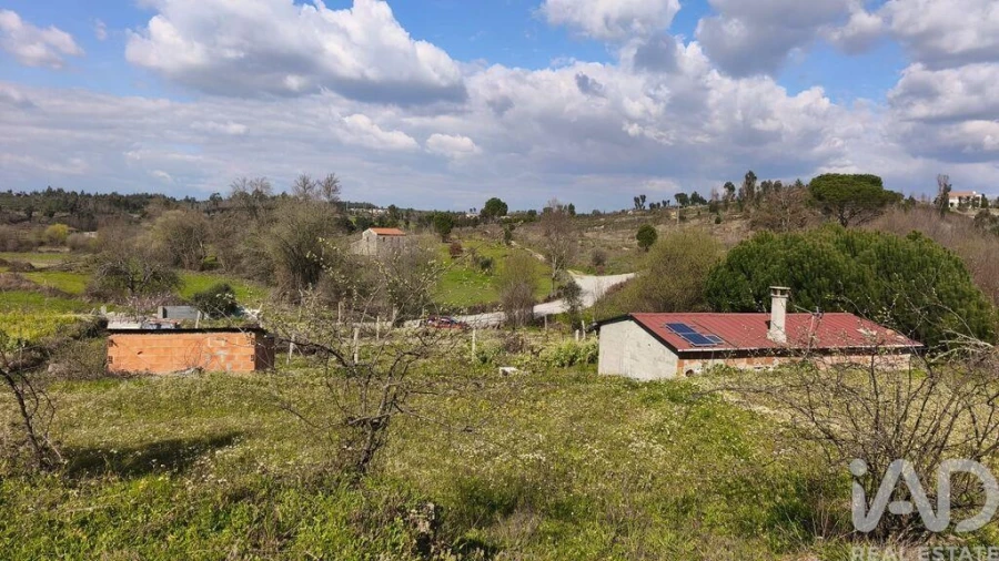 Terreno para Venda em Seixo da Beira Foto 5