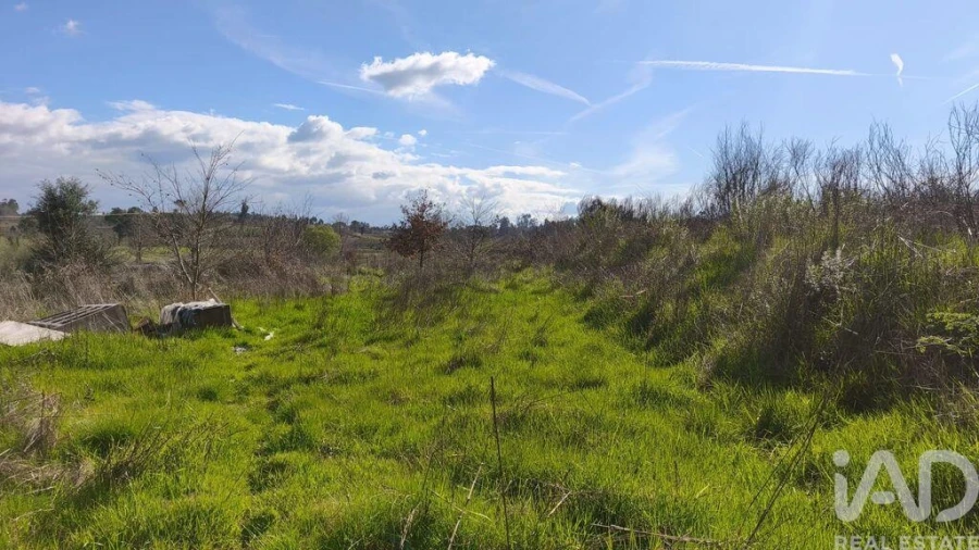 Terreno para Venda em Seixo da Beira Foto 17