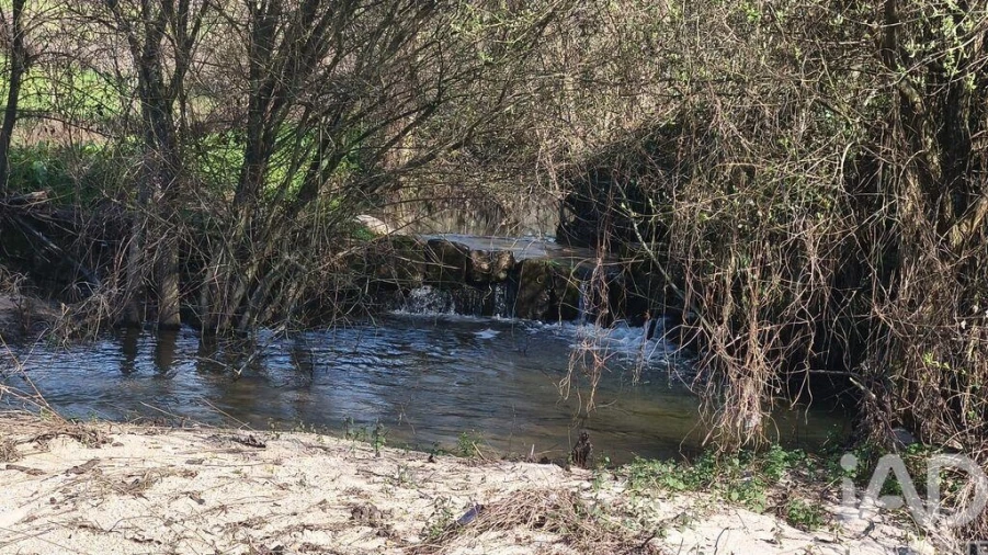 Terreno para Venda em Seixo da Beira Foto 9