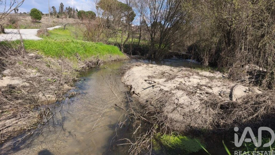 Terreno para Venda em Seixo da Beira Foto 4