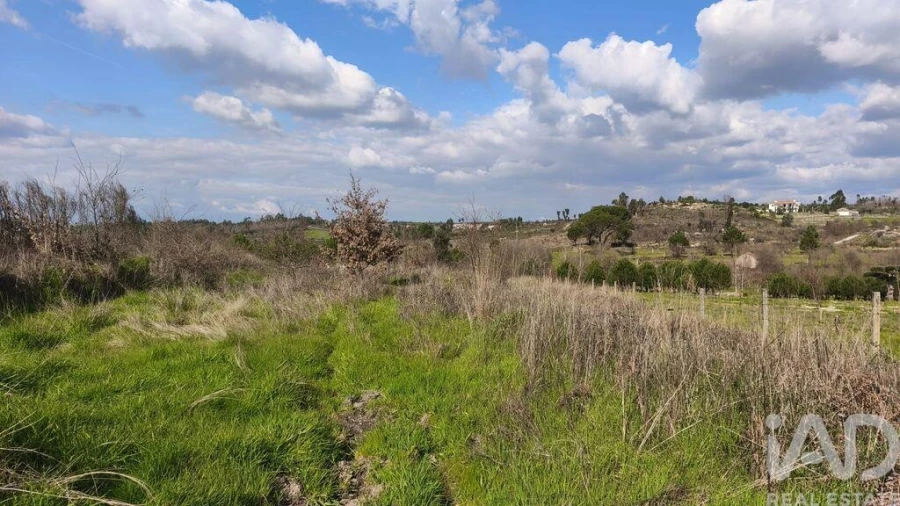 Terreno para Venda em Seixo da Beira Foto 11