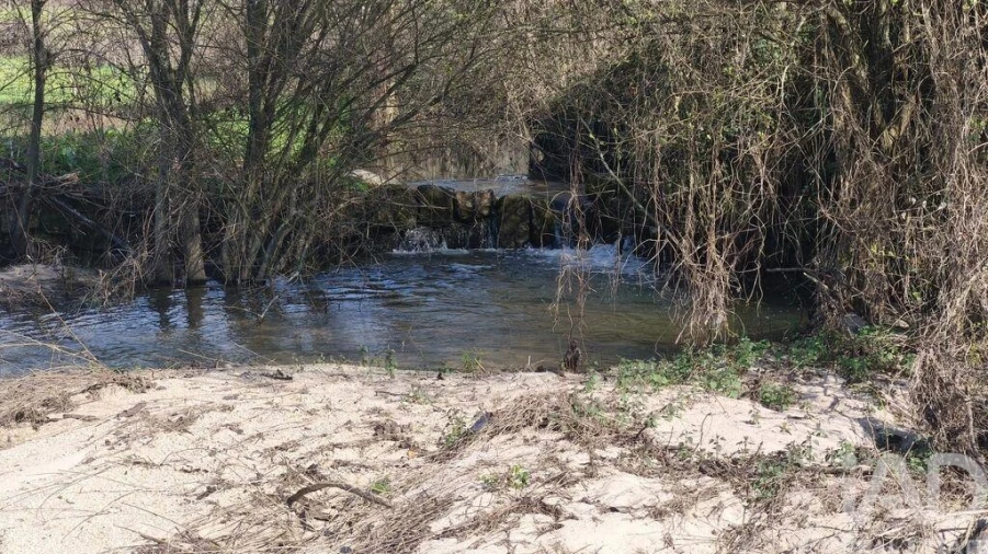 Terreno para Venda em Seixo da Beira Foto 18