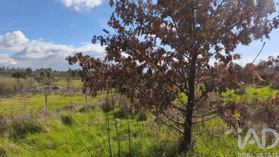 Terreno para Venda em Seixo da Beira Foto 19