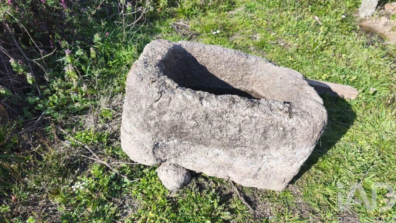 Terreno para Venda em Seixo da Beira Foto 13