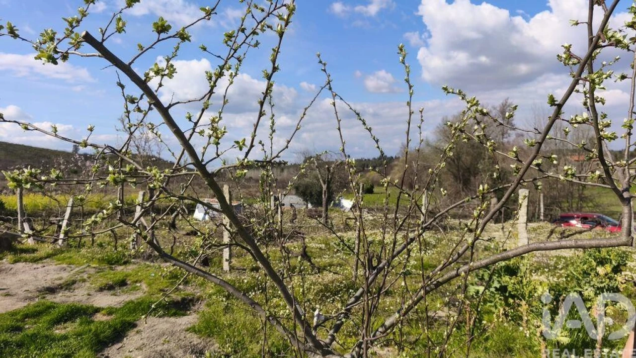 Terreno para Venda em Seixo da Beira Foto 6