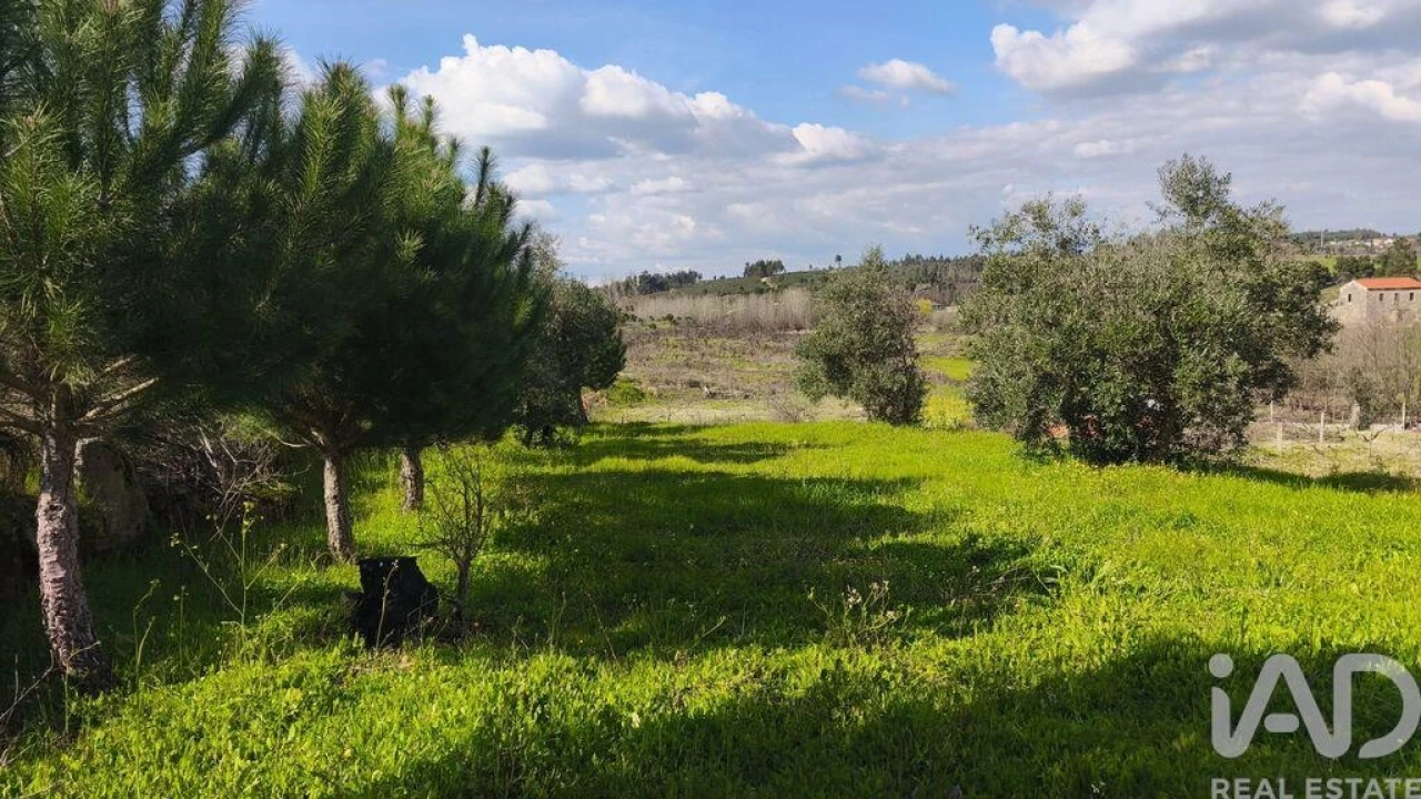 Terreno para Venda em Seixo da Beira Foto 10