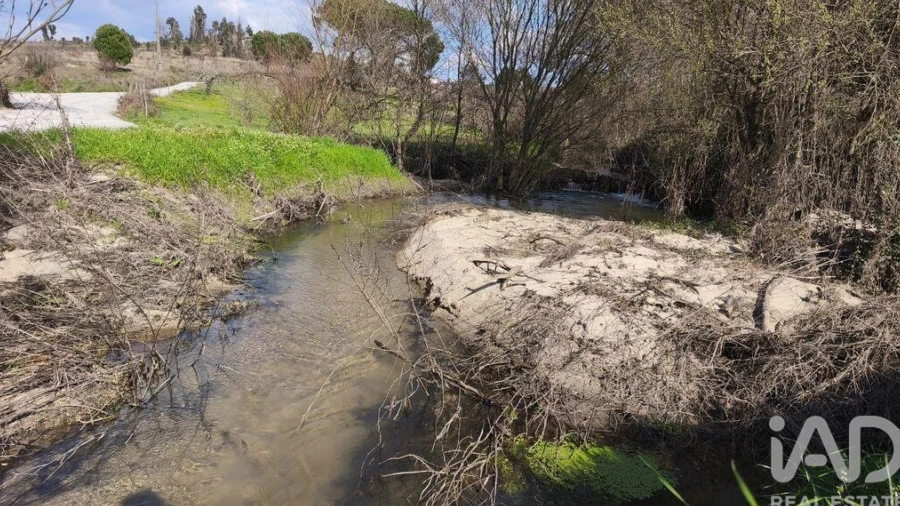 Terreno para Venda em Seixo da Beira
