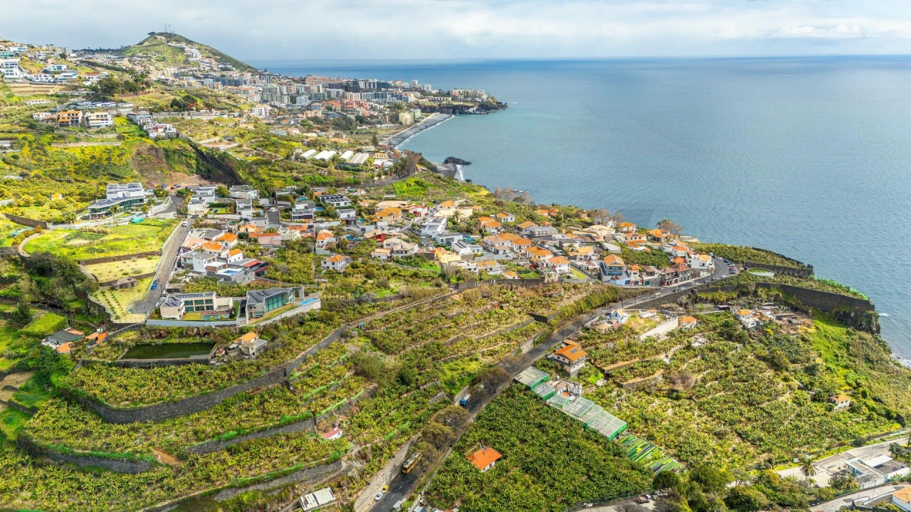 Terreno para Venda em São Martinho Foto 7