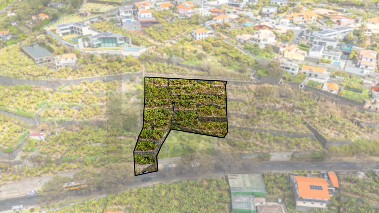 Terreno para Venda em São Martinho Foto 6