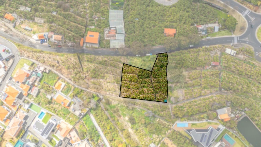 Terreno para Venda em São Martinho Foto 7