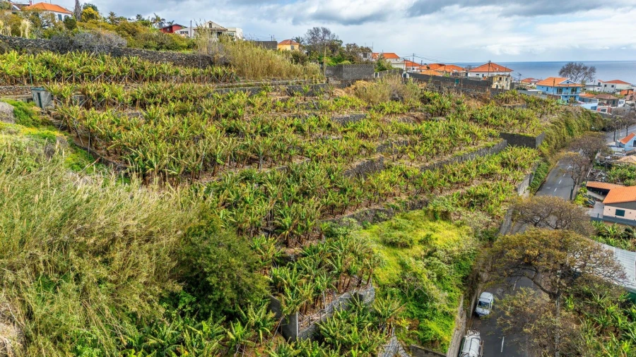 Terreno para Venda em São Martinho Foto 18