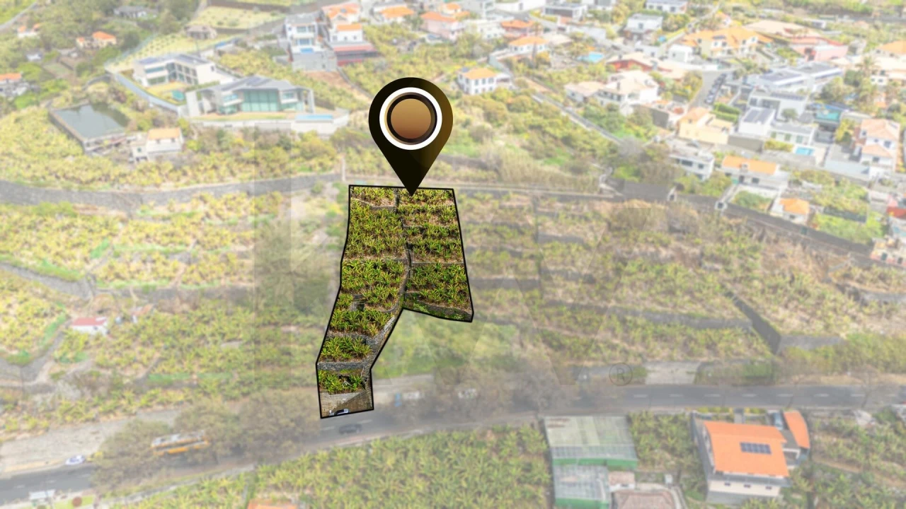 Terreno para Venda em São Martinho Foto 6