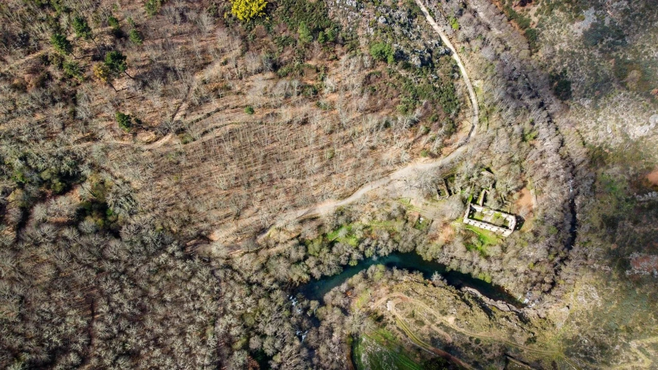 Quinta T5 para Venda em Jarmelo São Miguel Foto 6