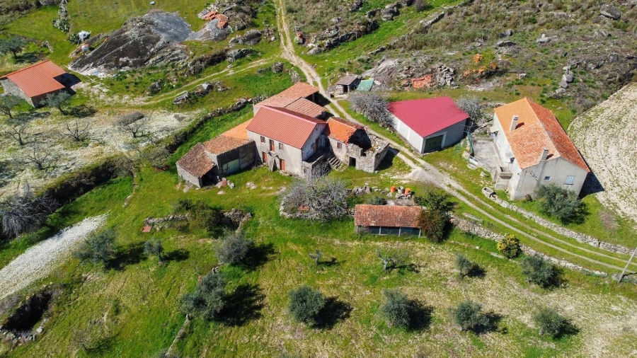 Quinta para Venda em Sortelha Foto 7