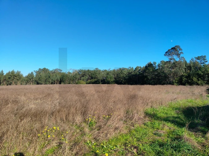 Terreno para Venda em Vau Foto 18