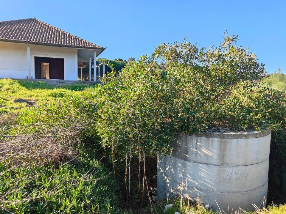 Terreno para Venda em Vau Foto 17