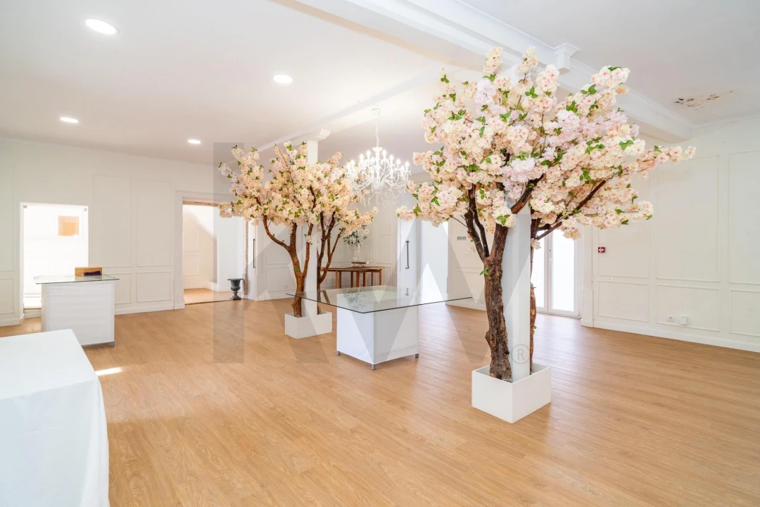 Quinta T8 para Venda em Paião Foto 36