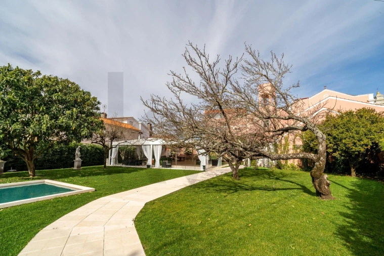 Quinta T8 para Venda em Paião Foto 38