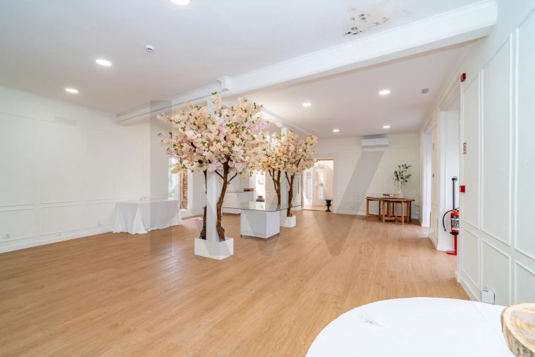 Quinta T8 para Venda em Paião Foto 34