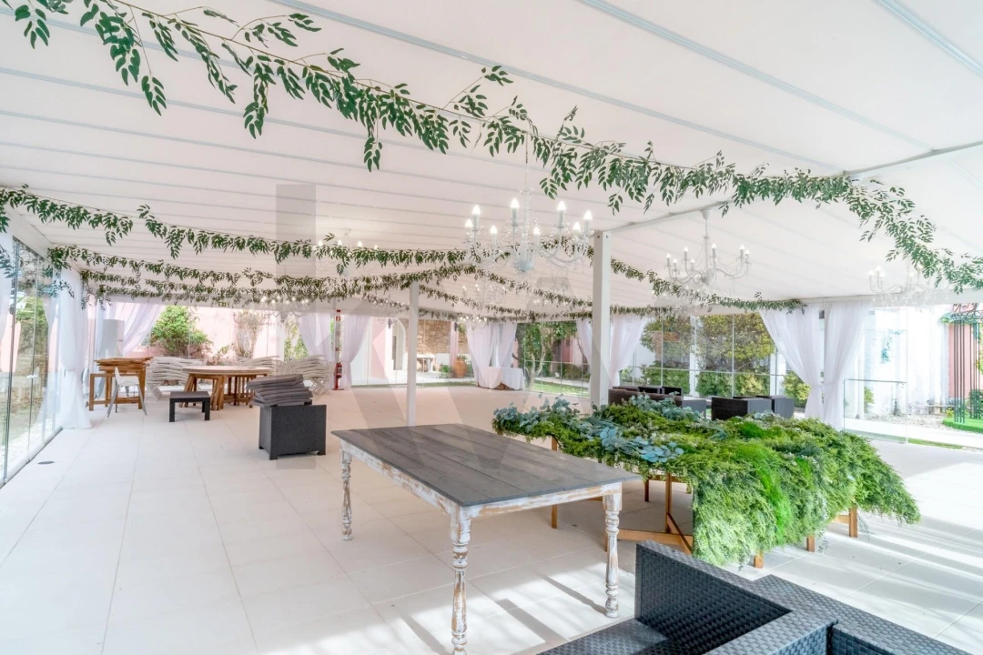 Quinta T8 para Venda em Paião Foto 49