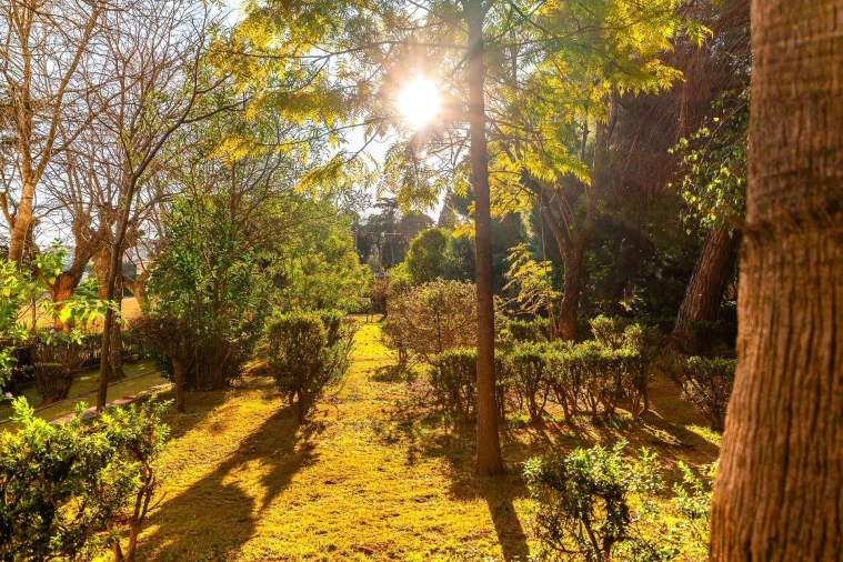 Moradia T7 para Venda em Penha de França Foto 4