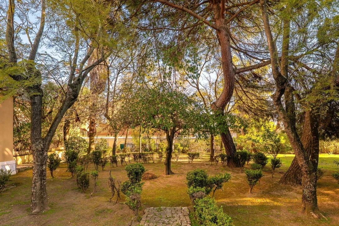 Moradia T7 para Venda em Penha de França Foto 6