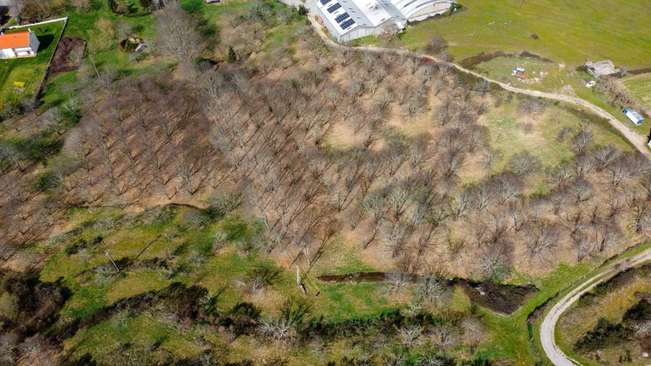 Terreno para Venda em Jarmelo São Miguel Foto 1