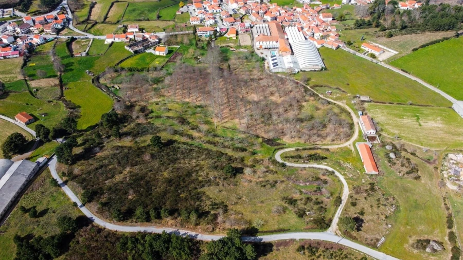 Terreno para Venda em Jarmelo São Miguel Foto 5