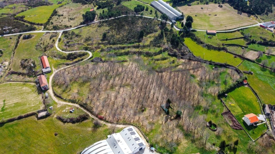 Terreno para Venda em Jarmelo São Miguel Foto 4