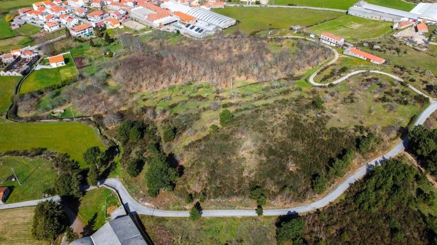 Terreno para Venda em Jarmelo São Miguel Foto 8