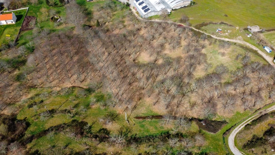 Terreno para Venda em Jarmelo São Miguel Foto 1