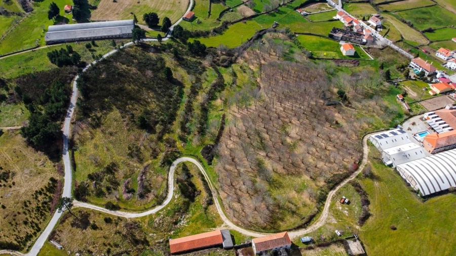 Terreno para Venda em Jarmelo São Miguel Foto 2
