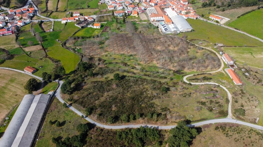 Terreno para Venda em Jarmelo São Miguel Foto 3