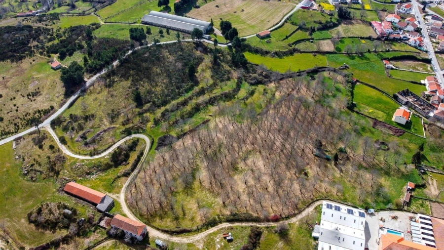 Terreno para Venda em Jarmelo São Miguel Foto 7
