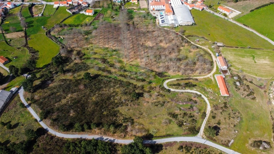 Terreno para Venda em Jarmelo São Miguel Foto 6