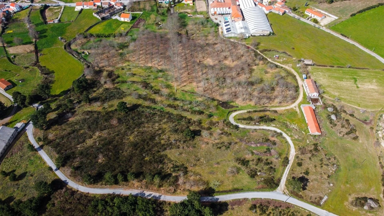 Terreno para Venda em Jarmelo São Miguel Foto 6
