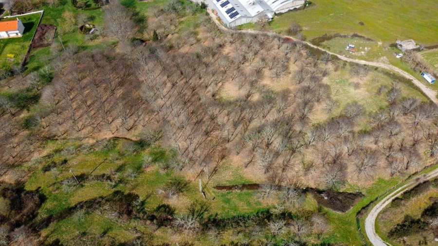 Terreno para Venda em Jarmelo São Miguel