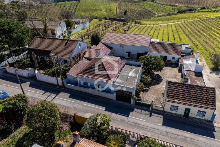 Moradia T2 para Venda em Lamas e Cercal Foto 30