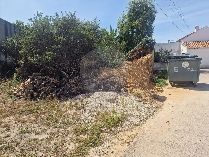 Terreno para Venda em Rio Maior Foto 6