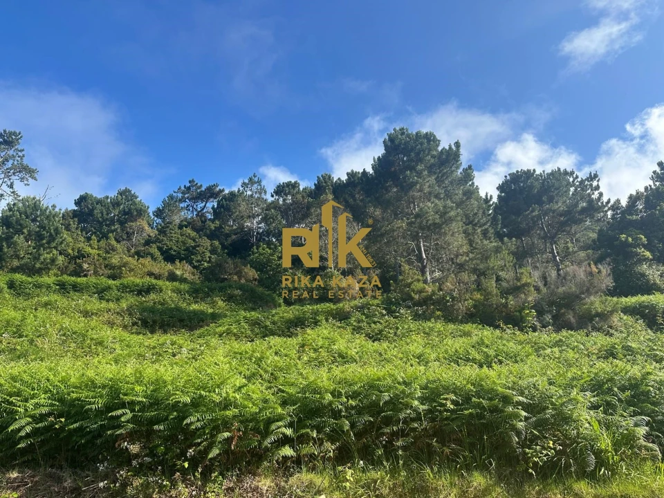 Terreno para Venda em Ribeira da Janela Foto 4