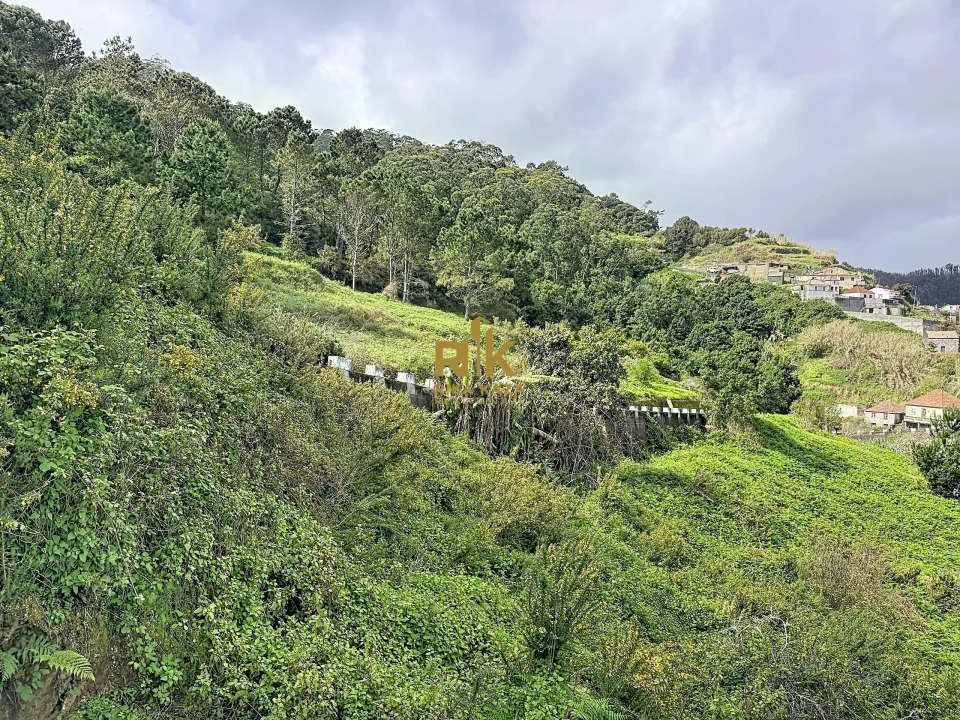 Terreno para Venda em Ribeira da Janela Foto 16